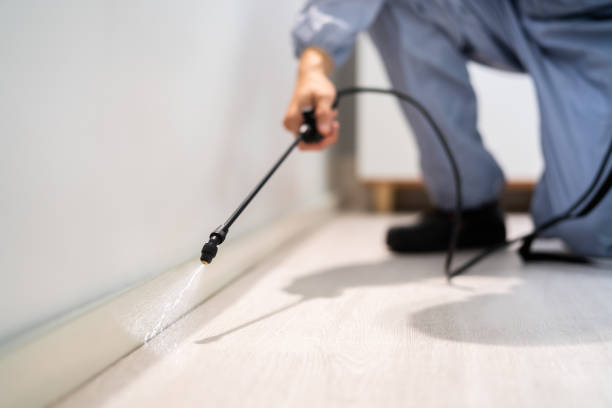 Licensed Termite Control service in Mercer, PA - Nex Pest Control