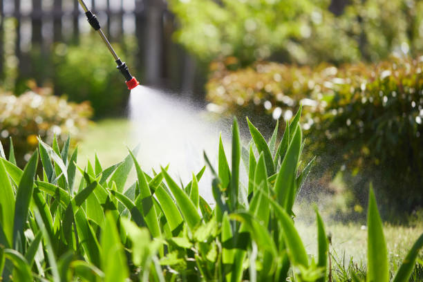 24/7 Emergency Termite Control experts in Mercer, PA