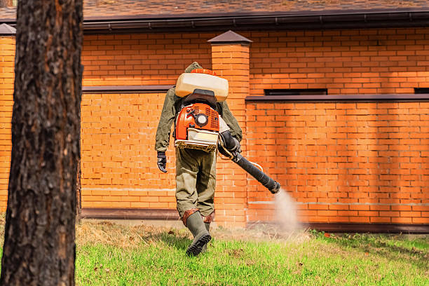 Top rated local Termite Control specialists in Mercer, PA
